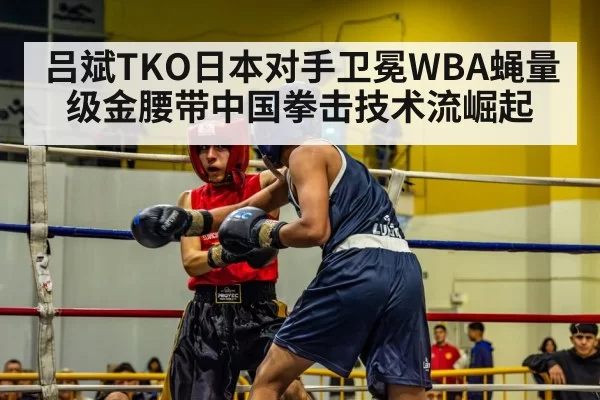吕斌TKO日本对手卫冕WBA蝇量级金腰带中国拳击技术流崛起