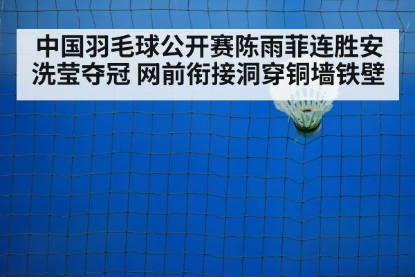 中国羽毛球公开赛陈雨菲连胜安洗莹夺冠 网前衔接洞穿铜墙铁壁